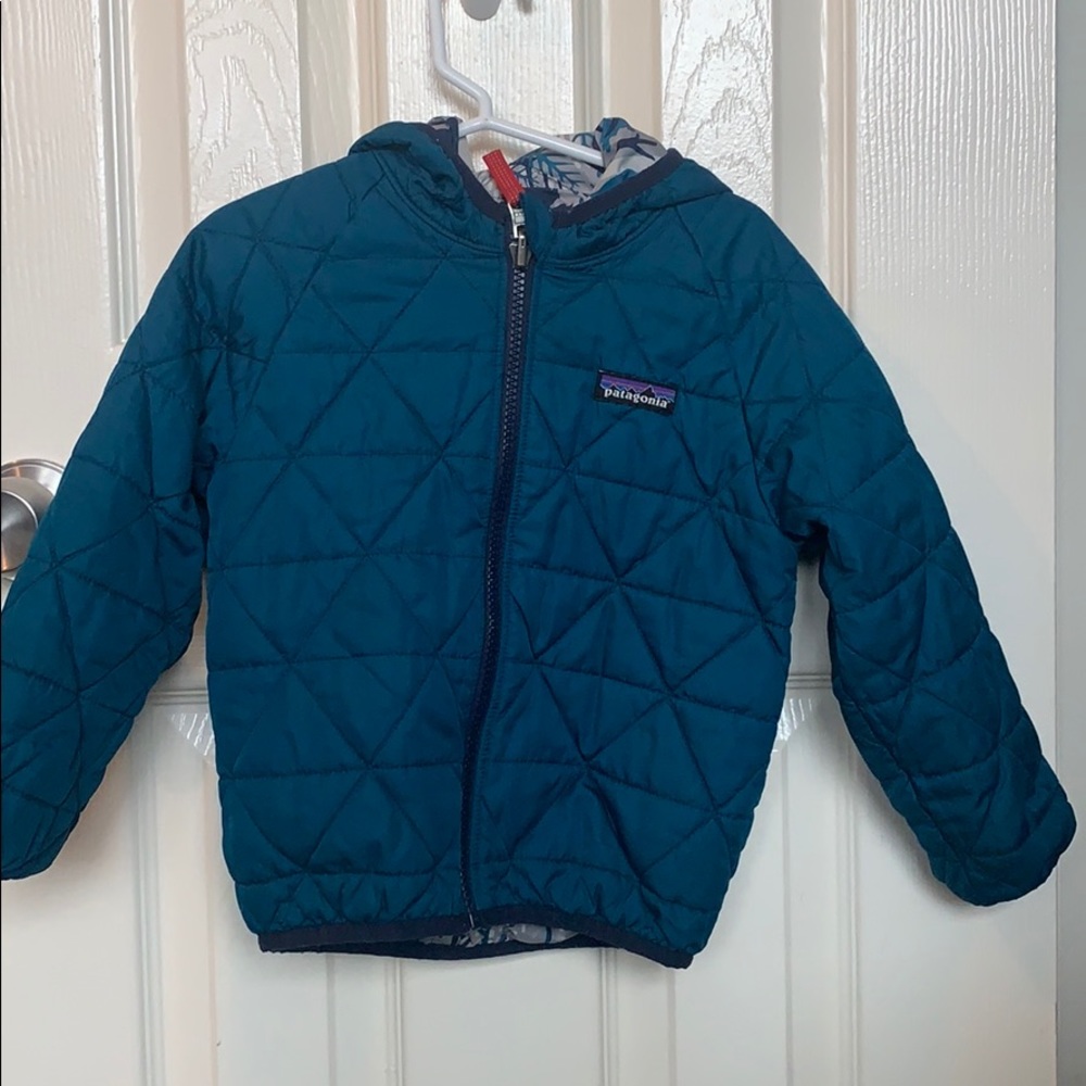 Patagonia Toddler jacket 2t